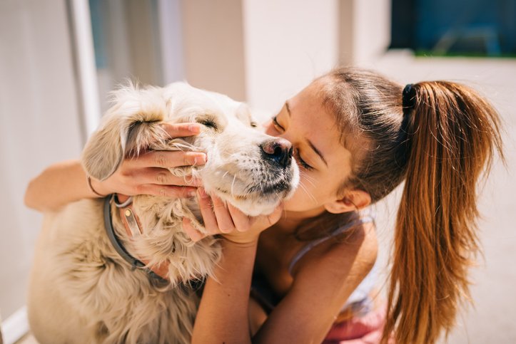 Saiba como o exame SDMA pode prolongar a vida do seu paciente pet